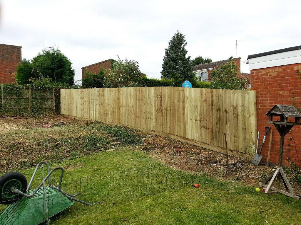 Tree Removal in Fenny Stratford