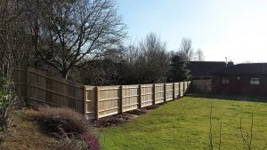 Tree Surgeons You Can Rely On