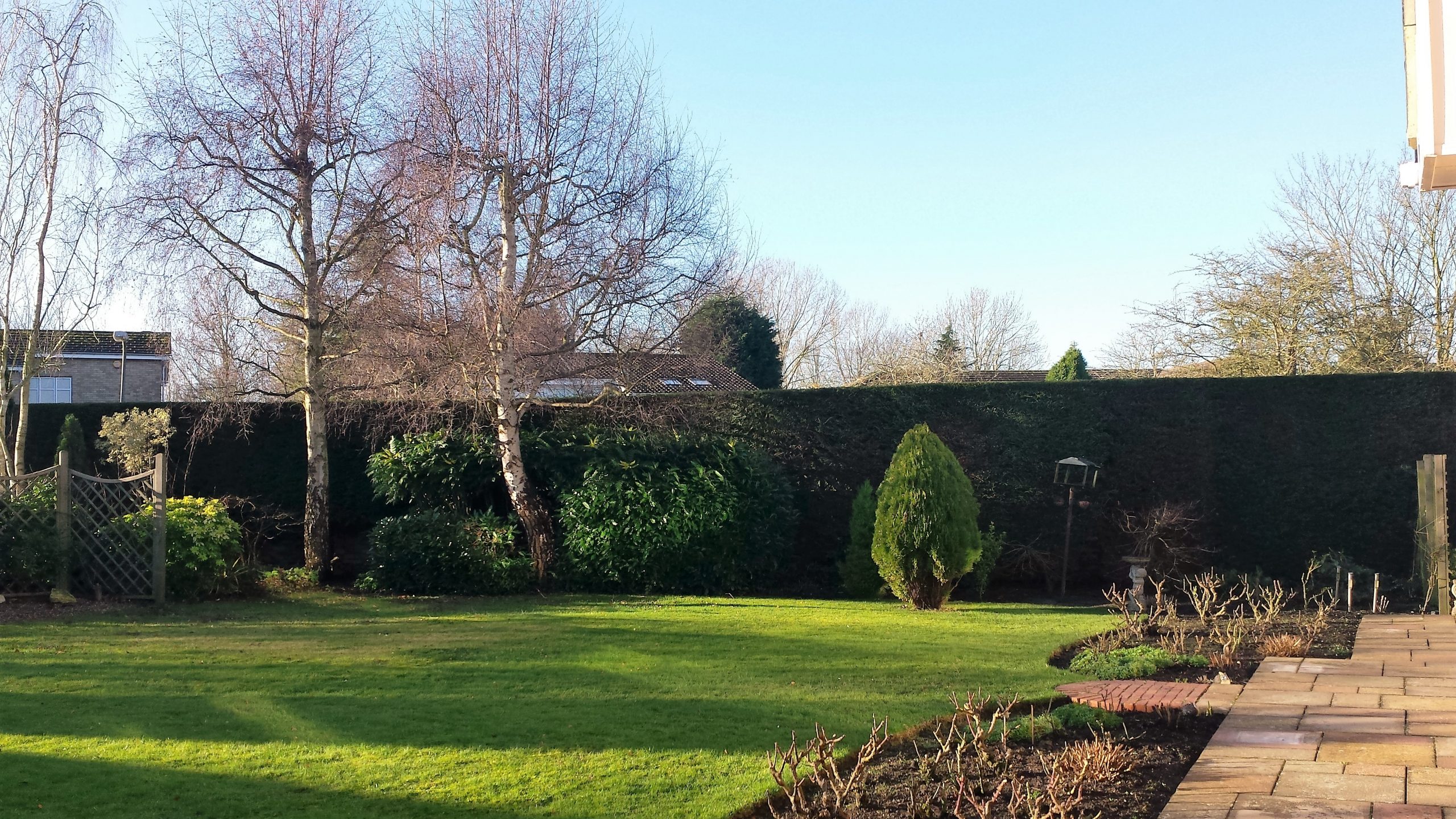 Hedge Trimming Milton Keynes